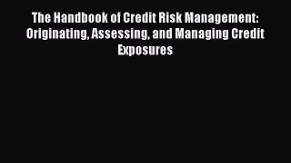 Download The Handbook of Credit Risk Management: Originating Assessing and Managing Credit