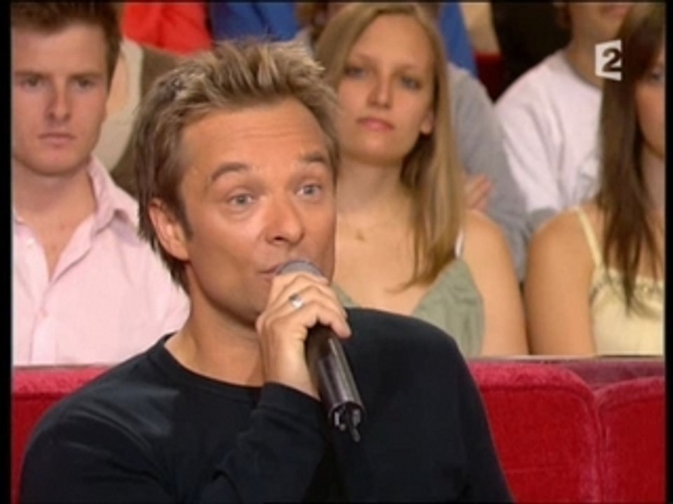 David Hallyday - Vivement Dimanche 8