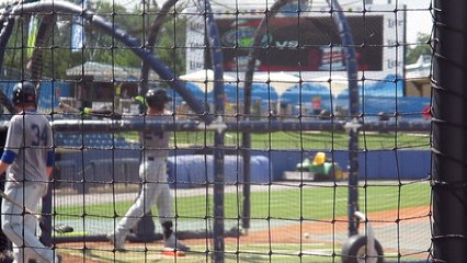 Jeffrey Diehl Batting Cage, 1/3