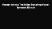 [Read PDF] Unmade in China: The Hidden Truth about China's Economic Miracle Download Free