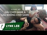 Lynk Lee - Sự khác biệt giữa Gấu chơi game và Gấu không chơi game