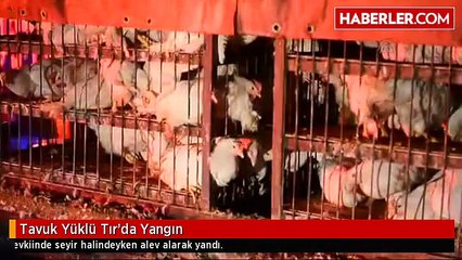 Tavuk Yüklü Tır'da Yangın