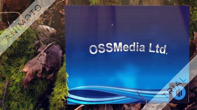 Hire WordPress Developers at affordable prices