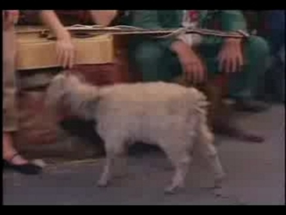 Chet Atkins - Humoresque