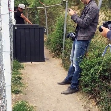 Un lionne fait un gros câlin à un dresseur au Zoo
