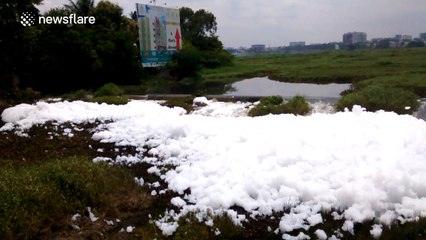 Thick foam forms on lake in India