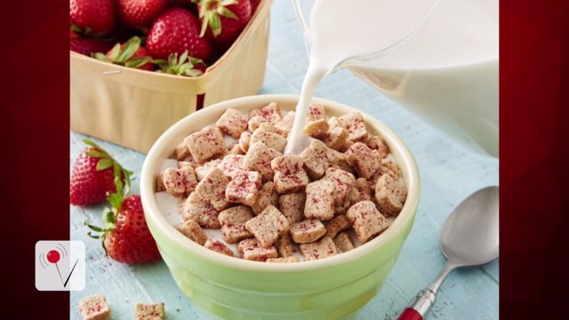 Tiny Toast Cereal is General Mills First New Brand in 15 Years