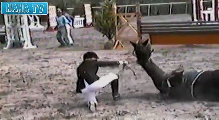 Funny Videos HD NEW Best Funny Fails Compilation 2014 - Funny Home Videos