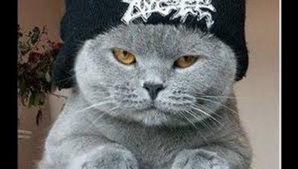 Thug LIFE Mix Animals # 1