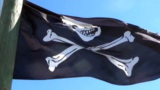 Fennekin Friday 15: Pirates on Deck, Captain Torch