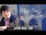 Ngôi sao còn lại - Dương Ngọc Thái