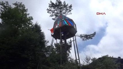 Artvin Çam Ağacının Gövdesine Ev Yaptı!