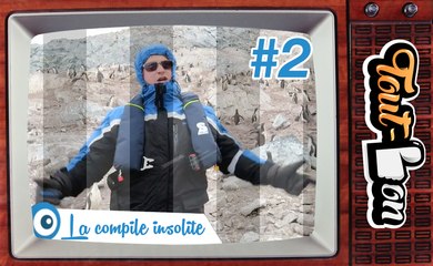 La compile insolite de Tout-Bon #2 (Juin 2016)