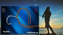 How To Tie A Fishing Knot - Top 9 Easy And Best Fishing Knots