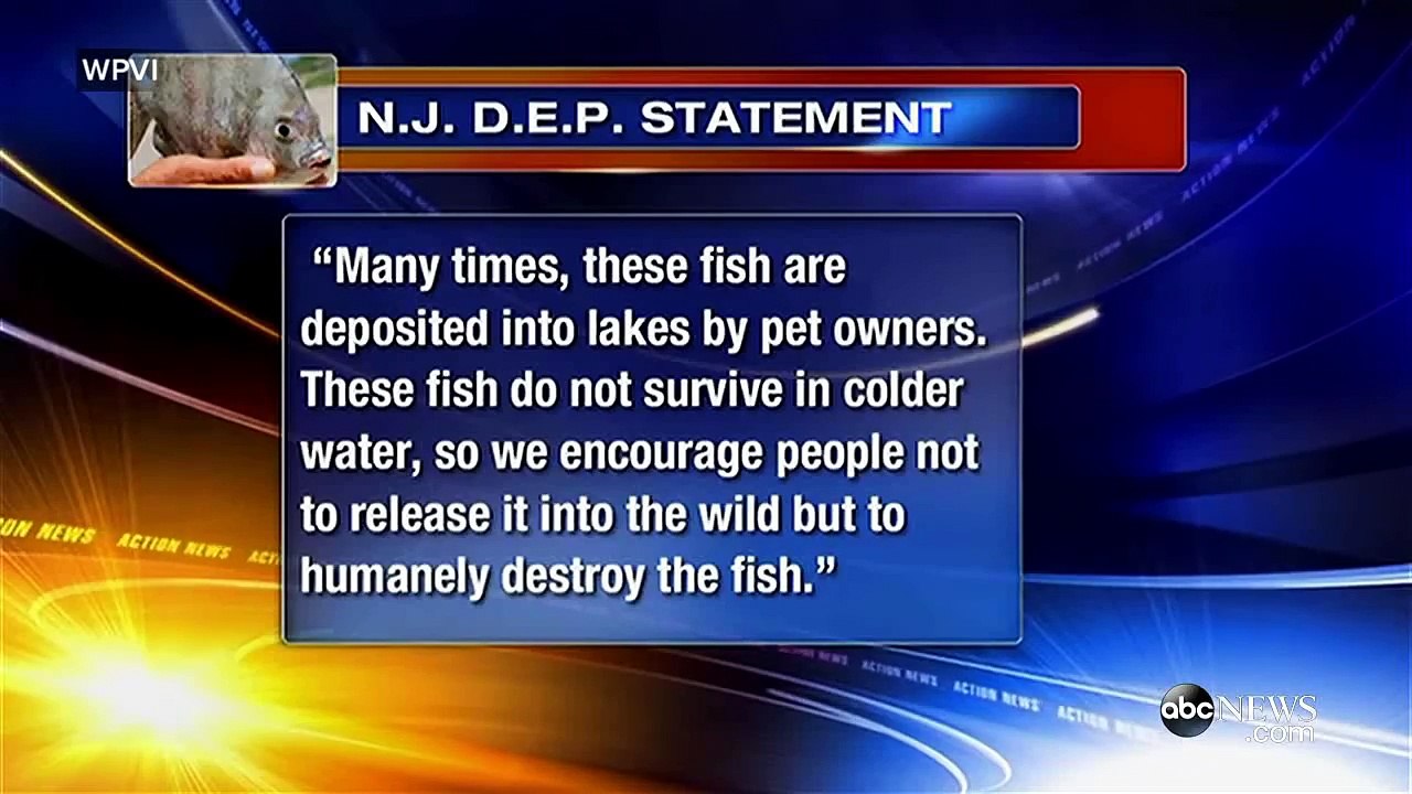 Testicle Eating Fish With “Human Teeth” Could Be Heading To The UK