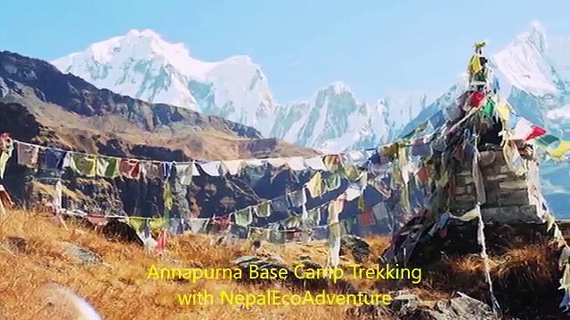 Annapurna Base Camp (ABC) Trekking