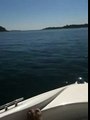 A little boat ride on Folsom Lake