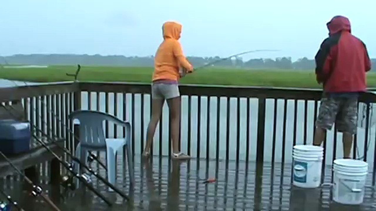 People Fishing Off a Pier Get a Surprise Visit From a Shark