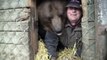 Cet ours de 500kgs se prépare à hiberner en Finlande aidé par son dresseur