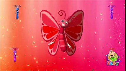 Farfichi ya faracha Toyor baby  - فرفشي يا فراشة طيور الجنة