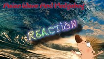 Реакция/Reaction MV Jimin (AOA) feat Xiumin (EXO) - Call you bae