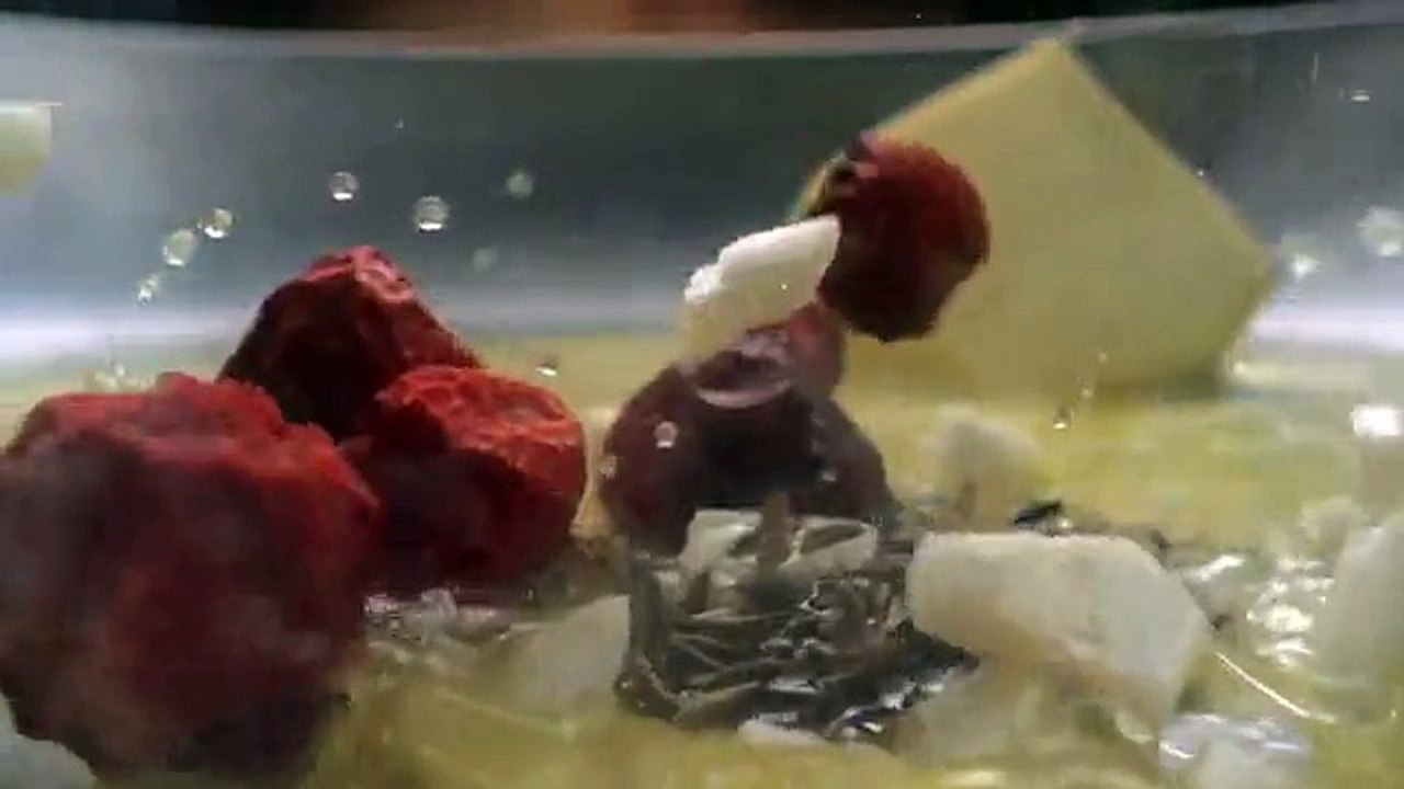 Nurpur Releases Ramzan TVC And It Is Awesome!