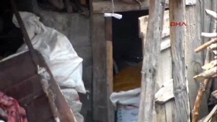 Çanakkale Kümese Sakladığı Altınları Çalındı