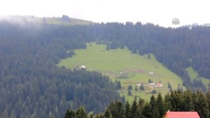 Giresun Turizmde İlgi Odağı Olmaya Başladı"