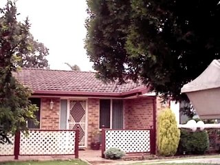 firework+mailbox= a lot of good laughs