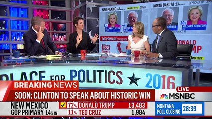Rachel Maddow is Being So Unfair to Donald Trump, You Guys!