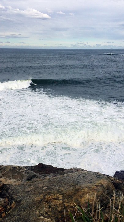 Surfing off #CoogeeBeach 