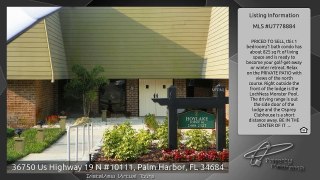 36750 Us Highway 19 N #10111, Palm Harbor, FL 34684