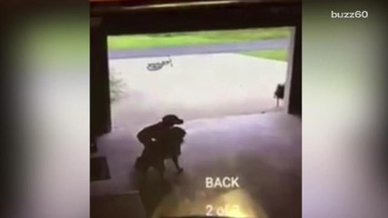 Boy Caught Sneaking Into Neighbor's Garage to Hang Out with Dog