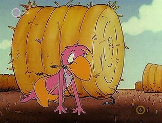 Albert Mondja A Természet Jobban Tudja @ A Föld Élő