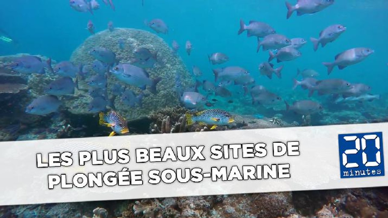 Les plus beaux sites de plongée sous-marine