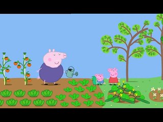 Peppa Pig S01E34   Lunch