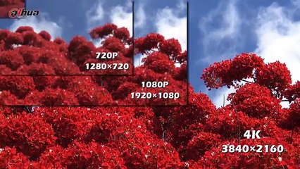 Experience Crystal-Clear Security with Dahua 4K Ultra Solution 🔒