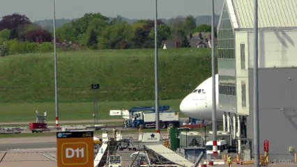 Video herunterladen: Emirates Airplane Carries Message Against Illegal Wildlife Trade