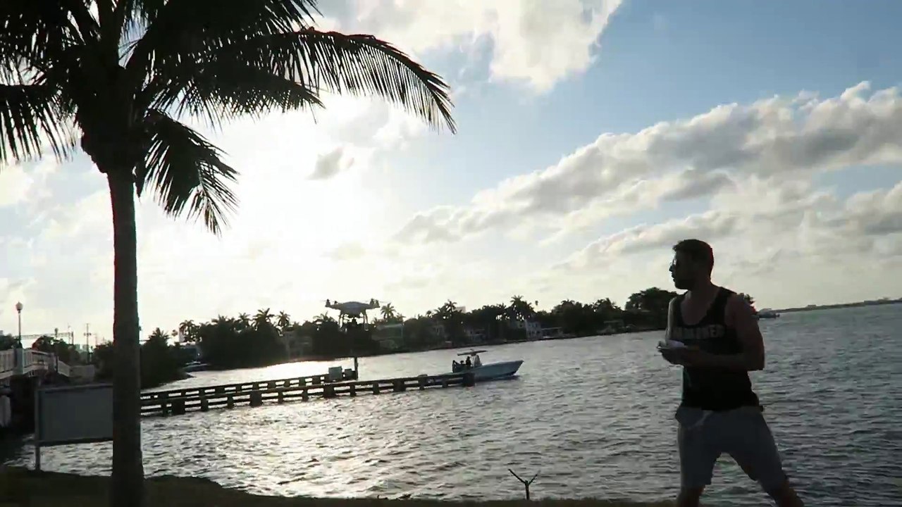 Drone Pilot Doesn't Spot Palm Tree and Crashes Drone