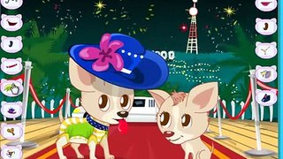 Celebrity Dog Dress Up Games | cats and dogs 2015