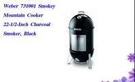 Weber 731001 Smokey Mountain Cooker 22-1 2-Inch Charcoal