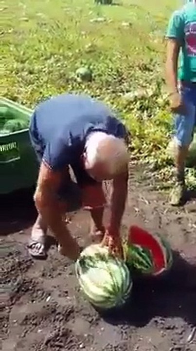 Voici comment découper une délicieuse pastèque