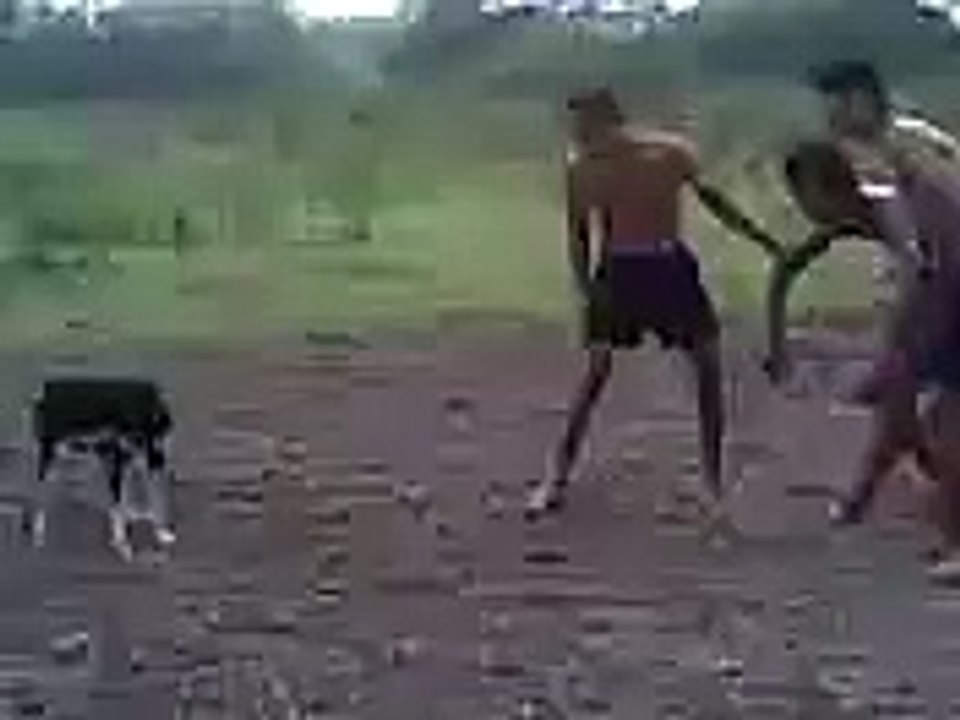 Funny Pranks