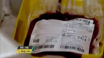 Homens homossexuais ainda são impedidos de doar sangue