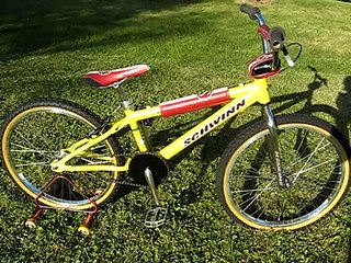 Schwinn 24" BMX Cruiser model year 2000