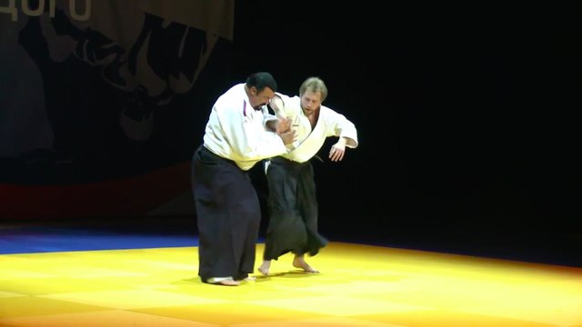 Steven Seagal Aikido