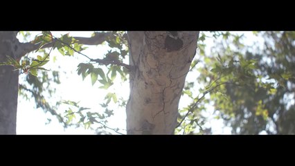 Phora - Weaknesses [Official Music Video]