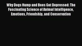 Read Books Why Dogs Hump and Bees Get Depressed: The Fascinating Science of Animal Intelligence