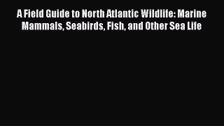 Read Books A Field Guide to North Atlantic Wildlife: Marine Mammals Seabirds Fish and Other