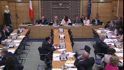 Commission des lois : Gilbert Collard est contre la gestation pour autrui